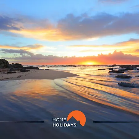 فيلة #265 Charming Sam *